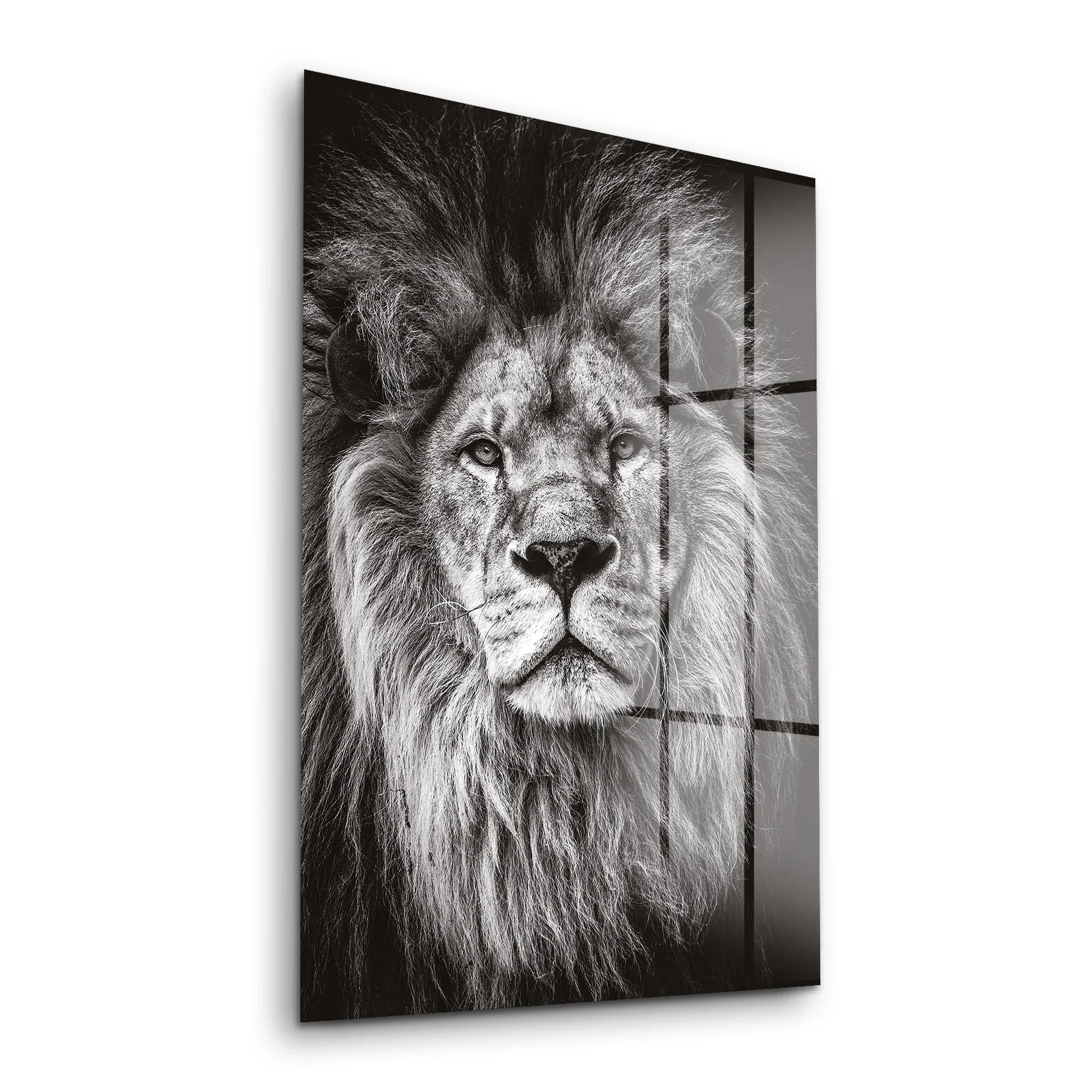 Decovetro Aslan Desenli Cam Tablo 30x40 cm