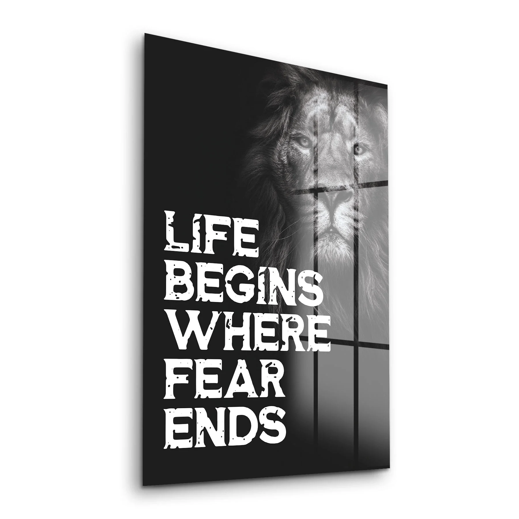 Decovetro Cam Tablo Fear Ends Motivational 30x40 cm