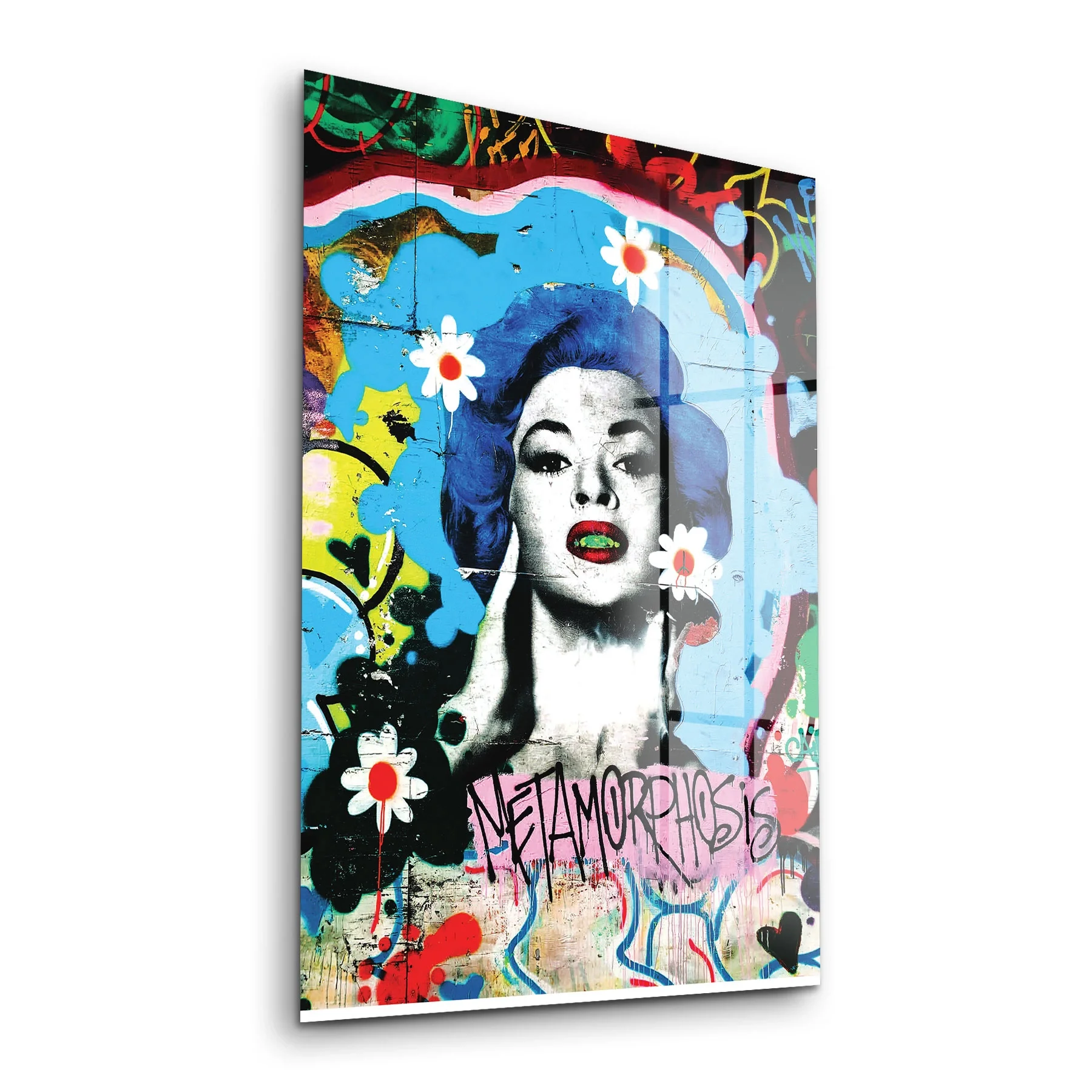Decovetro Cam Tablo Pop Art Metamorfoz 30x40 cm