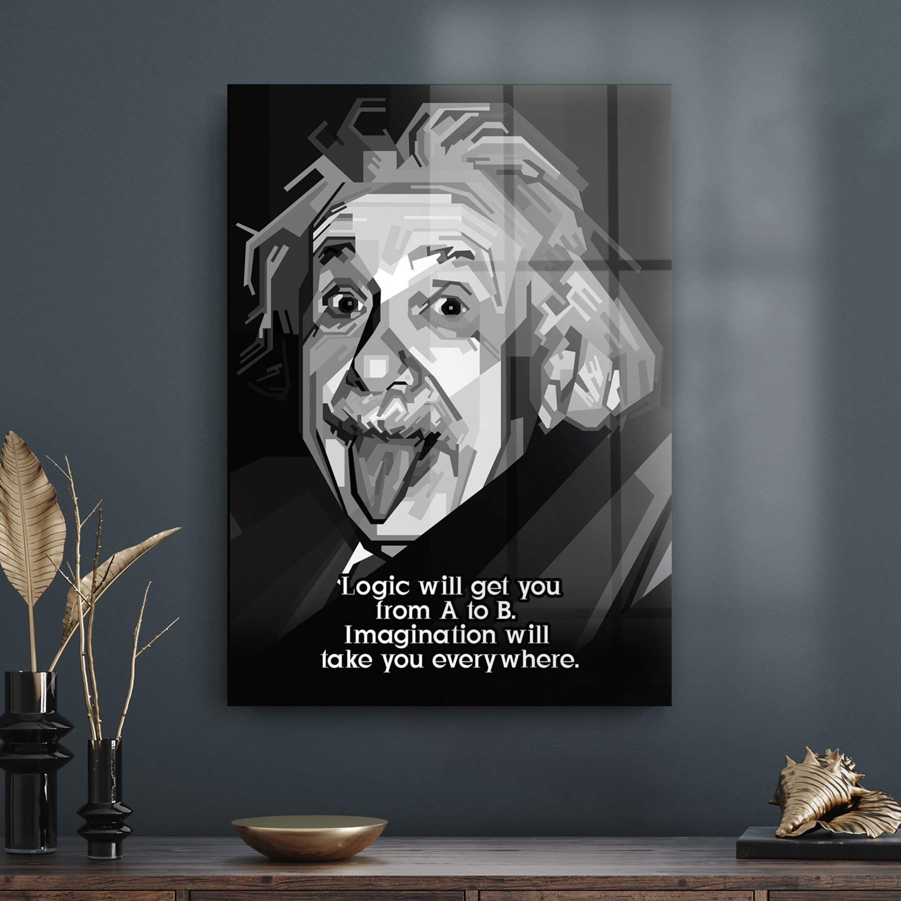 Decovetro Cam Tablo Albert Einstein Funny 70x100 cm