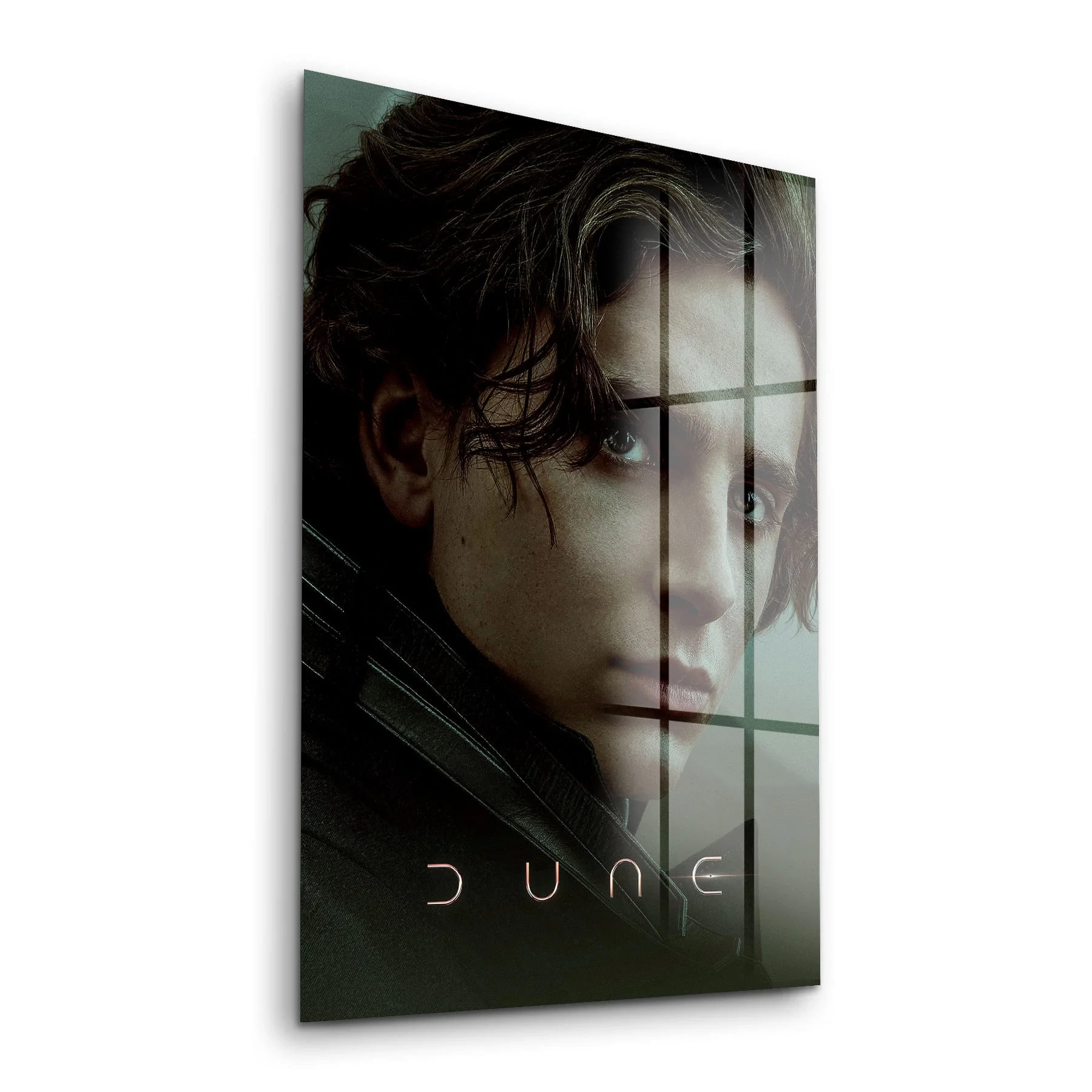 Decovetro Cam Tablo Dune Paul Atreides 70x100 cm