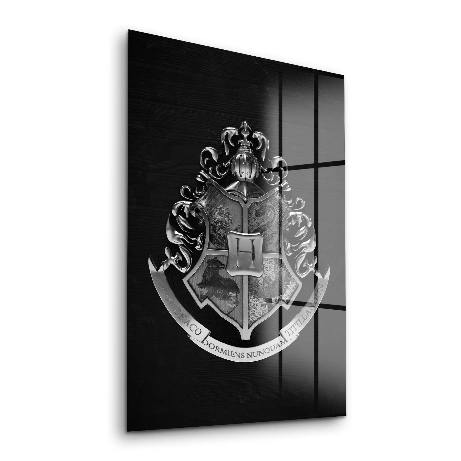 Decovetro Cam Tablo Harry Potter Hogwarts Logo 70x100 cm